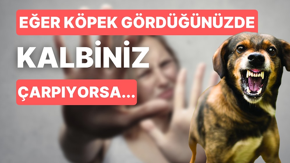 Köpek Fobisi Kinofobi Nedir ve Yenmek Mümkün mü? Korkunuzu Yenmenize Yardımcı Olacak Öneriler