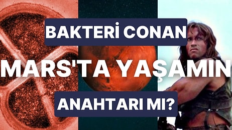 Mars'ta 280 Milyon Yıl Boyunca Yaşayabilecek Canlı Türü Keşfedildi