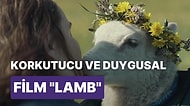 Başrolünde Bir Yavru Kuzunun Olduğu Gerilim ve Korku Türünde Olan "Lamb" Filmini İnceliyoruz!