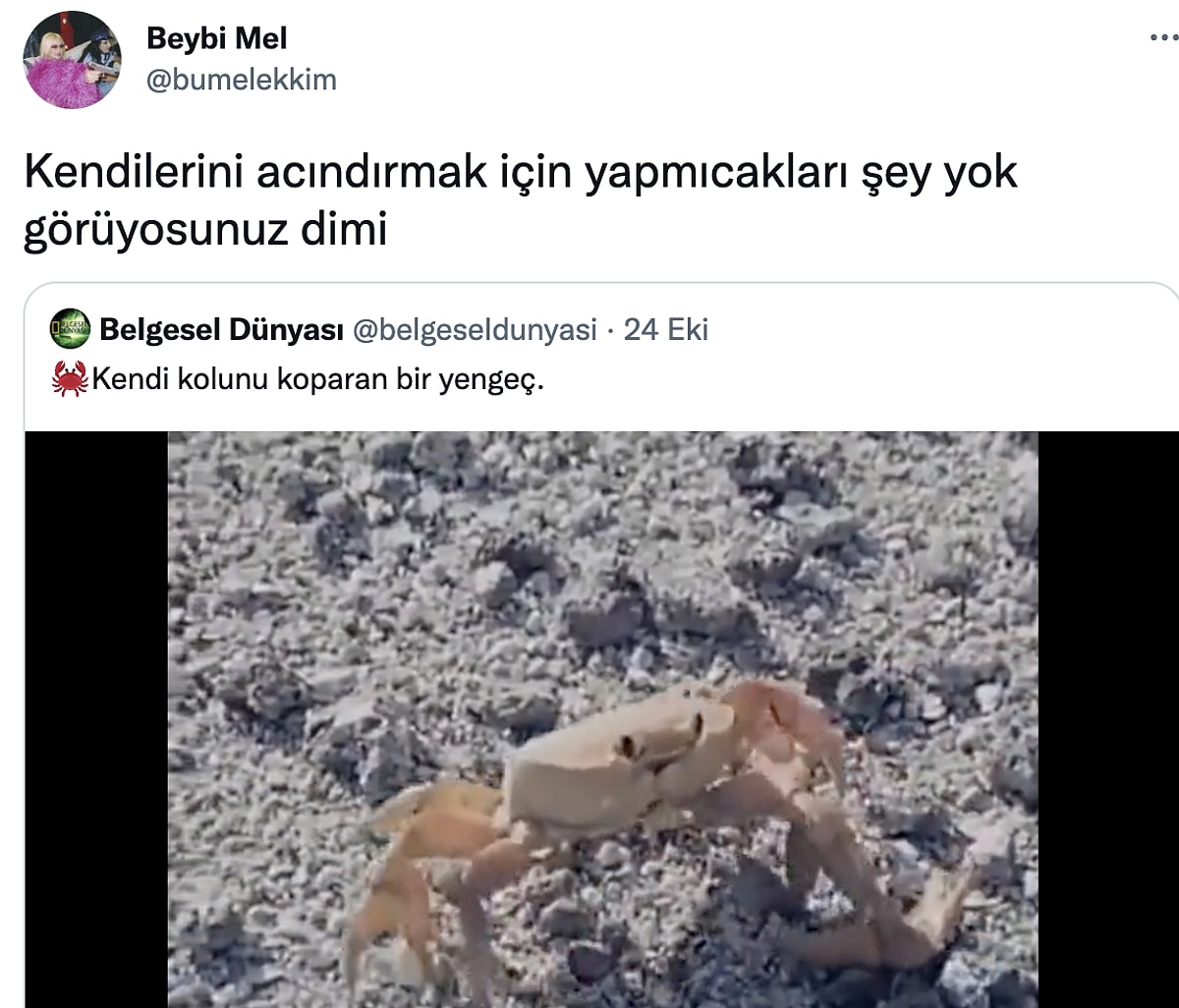 memede-cisim-tutma-ak-m-ndan-yenge-bur-lar-n-n-tuhaf-zelliklerine-son