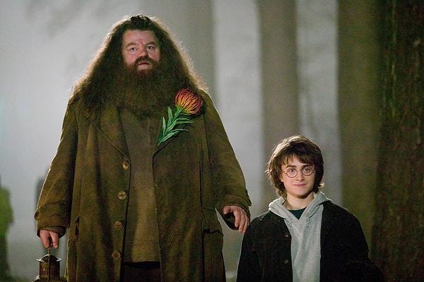 Asa kullanması ve büyü yapması kesinlikle yasak olan 'Rubeus Hagrid' kocaman bedeninde taşıdığı yufka yüreğiyle gönüllerimize taht kurmuş bir karakterdi.