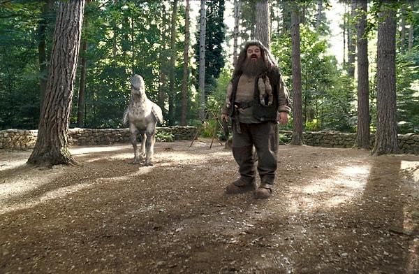 Aragog, Buckbeak, Fang, Fluffy ve Norbert adlı evcil hayvanlarına bağlılığıyla içimizi ısırtı Hagrid.
