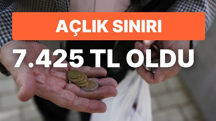 Mutfakta Yangın Sürüyor: Açlık ve Yoksulluk Sınırı Yükselirken, Hangi Ürünlere Ne Kadar Zam Geldi?