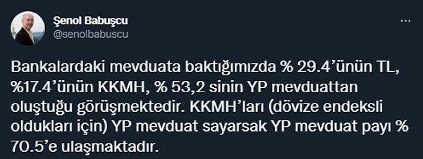 Liralaşma söylemlerine de Prof. Dr. Şenol Babuşcu şu bilgilerle yaklaştı. 👇