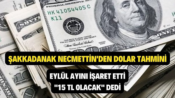 Bir de diğer hükümete yakın ekonomistler gibi asla tutmayan tahminleriyle...