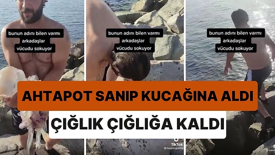 Ahtapot Zannettiği Devasa Denizanasını Eline Alan Adam Sokulunca Çığlık Çığlığa Kaldı