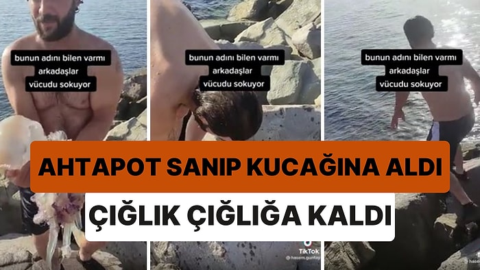 Ahtapot Zannettiği Devasa Denizanasını Eline Alan Adam Sokulunca Çığlık Çığlığa Kaldı