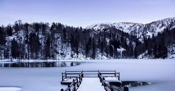 Artvin - Rize Rotası