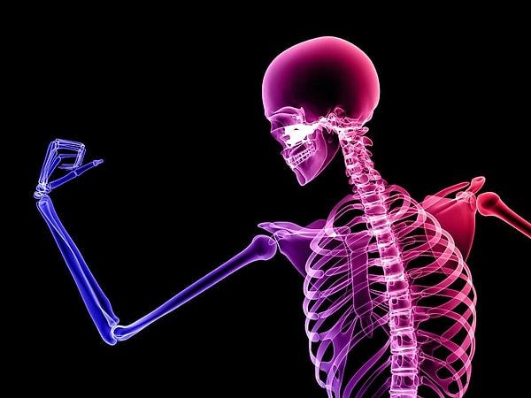 5. Sağlıklı ve yetişkin bir insanın vücudunda toplam kaç kemik bulunur?