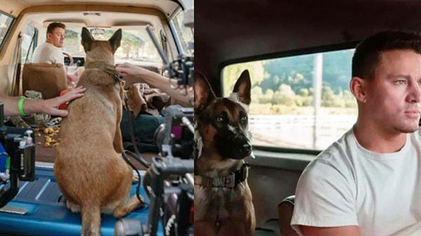 15. Dog (2022) filminin araba sahnelerini böyle çekmişler:👇