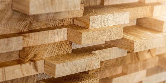 A New Type Of Wood-Based Plastic Could Enable Circular Home Decors And Building Materials