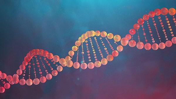 12. Hangisi DNA'da bulunan dört bazdan biri değildir?