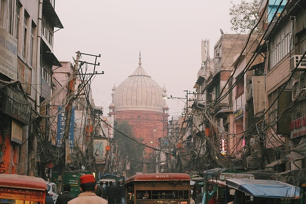 2. Yeni Delhi'de 2009 yılından beri ağaçların hastalanma durumuna müdahale etmek için bir grup beklemektedir. Eğer bir ağaç hastalanırsa ağaçları tedavi etmek için ambulansa benzer araç gönderilir.