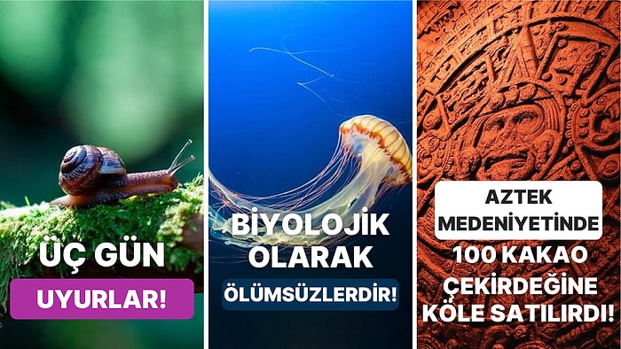 Öğrendiğiniz Andan İtibaren Bilgi Şöleninde Boğulacağınız Birbirinden İlginç Kültürel Gerçekler