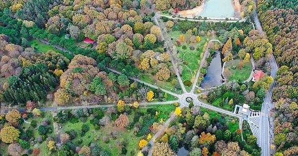 Bonus:  Atatürk Arboretumu