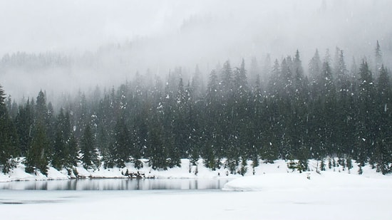Bu Kış Toplam Ne Kadar Fatura Ödeyeceksin?