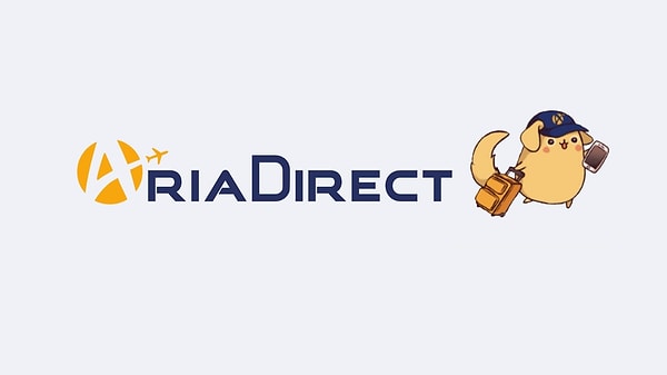 3. AriaDirect Corporation