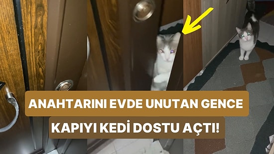 Videosu Olmasa Kimse İnanmaz: Anahtarını Evde Unutan Gencin Kapıyı Kedi Dostuna Açtırdığı Anlar Viral Oldu