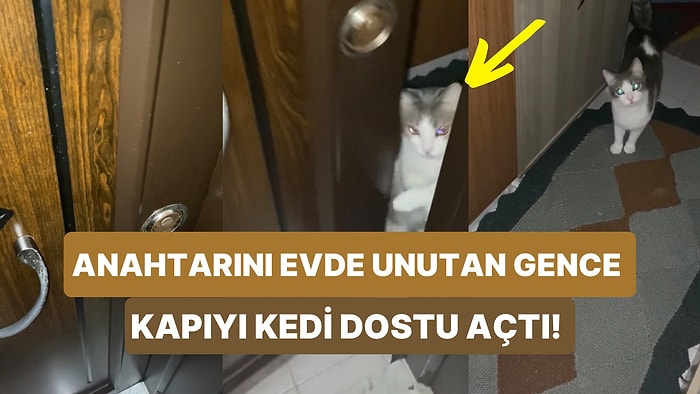 Videosu Olmasa Kimse İnanmaz: Anahtarını Evde Unutan Gencin Kapıyı Kedi Dostuna Açtırdığı Anlar Viral Oldu