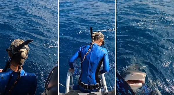 Ocean Ramsey isimli araştırmacı, az kalsın köpek balığına yem olacakken kaydedilen görüntülerdeki Kraliçe Nikki'nin saldırmaya niyeti olmadığını söyledi.