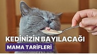 Dünyanın Tüm Kedileri ve Onların Sahipleri Toplanın! Kedileriniz İçin Besleyici ve Kolay 12 Kedi Maması Tarifi