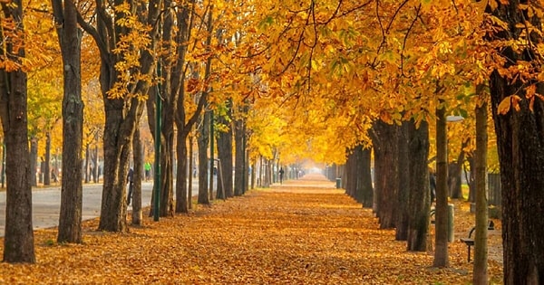 Romantik Kasım Ayı Sözleri