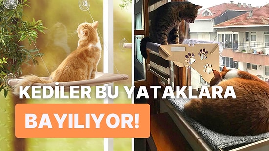 Kedilerin Keyifle Yattığı Vantuzlu Cam Yatağı Önerileri