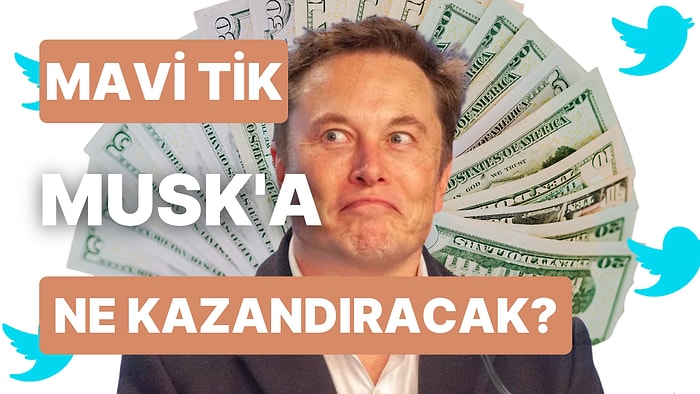 Elon Musk, Twitter'daki Onaylı Hesaplardan Aylık Ne Kadar Kazanacak?