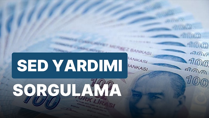 Sosyal Ekonomik Destek Sorgulama: Sosyal Yardım Ne Kadar? Destek Ödemeleri Yattı mı? Başvuru Şartları Neler?