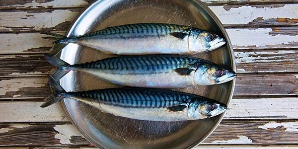 6. Uskumru. Kasım ayının en lezzetli balıklarından biri uskumrudur.
