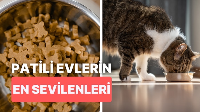 Kedi ve Köpekler İçin Birbirinden Kullanışlı Mama ve Su Kabı Önerileri