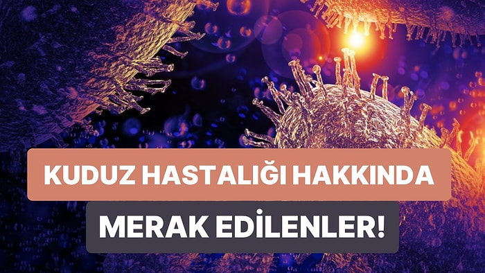 Kuduz Hastalığı Nedir? Belirtileri Nelerdir? Nasıl Teşhis Edilir? Tedavi Edilebilir mi?