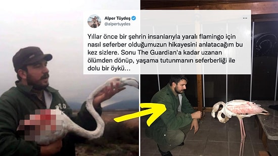 Fotoğrafçı Alper Tüydeş'in Bursa Halkıyla Birlikte Yaralı Bir Flamingoyu Kurtarma Hikayesini Duymalısınız!