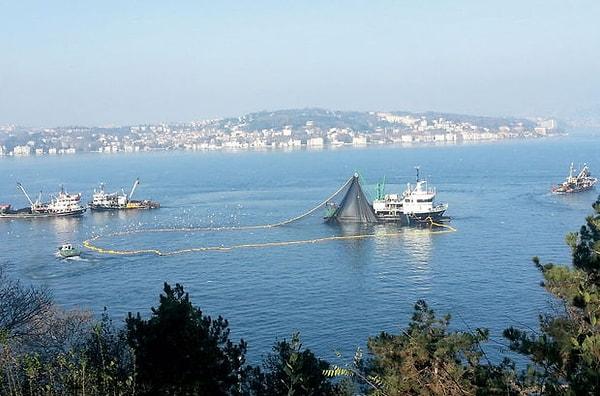 İstanbul Boğazı Ticari Gemi Geçiş Trafiği Bu Durumdan Nasıl Etkilenecek?