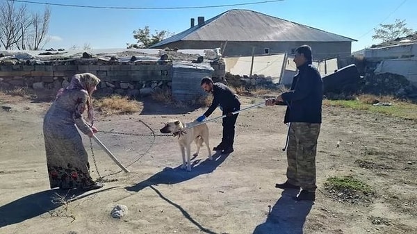 'İğneden korktuğu için doğruyu söylememiş'