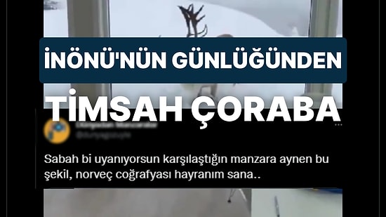 İsmet İnönü'nün Günlüğünden 950 Kilometre Gözlerini Dinlendiren Anneye Son 24 Saatin Viral Olan Tweetleri