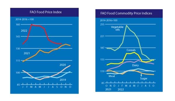FAO'un açıkladığına göre, dünya gıda emtia fiyatlarına ilişkin gösterge Ekim ayında genel olarak istikrarlıydı.