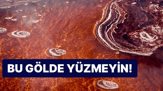 Bu Göle Düşen Canlılar Taşa mı Dönüşüyor? Kırmızı Rengiyle Kabuslardan Fırlamış Gibi Duran Natron Gölü