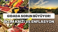 Ekonomide Büyük Tehlike: İklim Değişikliğiyle Gelen Kuraklık Tarım Üretimini ve Gıda Fiyatlarını Vuracak!