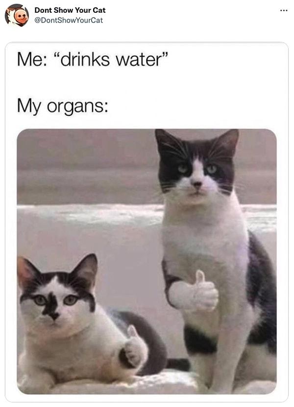 2. "Ben: Su içerim.         /       Organlarım: "