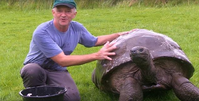 16. Yaşayan en yaşlı hayvan 190 yaşında Jonathan adında bir Seyşeller kaplumbağasıdır.