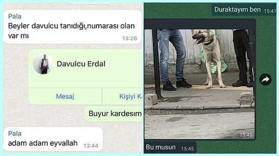 Yaptıkları Komik Mesajlaşmaları Paylaşarak İletişimden Maksimum Verim Alan Kişiler