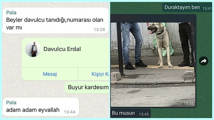 Yaptıkları Komik Mesajlaşmaları Paylaşarak İletişimden Maksimum Verim Alan Kişiler