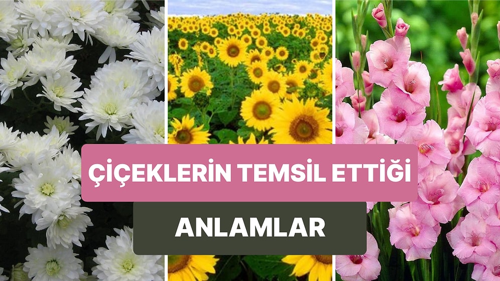 Birçoğunun Hangi Anlamı Temsil Ettiğini Bilmediğimiz Her Biri Diğerinden Güzel Çiçekler ve Anlamları