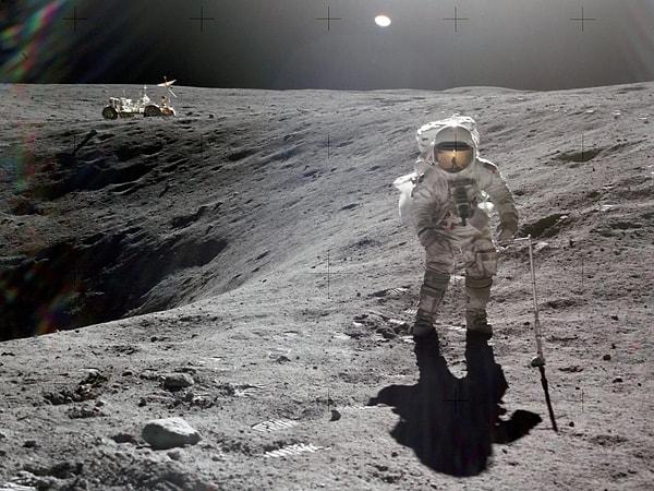 1972'de Apollo 16, kozmik ışınların etkilerini test etmek için uzaya fırlatıldığında, astronotlar hayatta kalıp kalamayacağını görmek için canlıyı da yanlarında götürdüler.