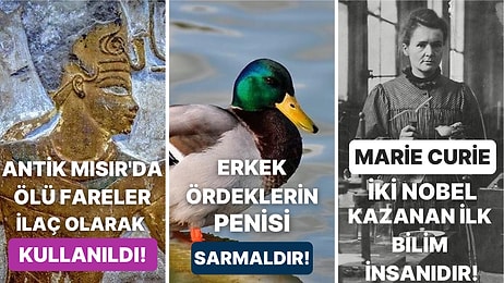 Öğrendiğiniz Andan İtibaren Bilgi Şöleninde Boğulacağınız Birbirinden İlginç Kültürel Gerçekler