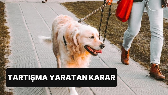 Tartışma Yaratan Karar: Sahipli Köpekler Ağızlıkla Dolaşacak