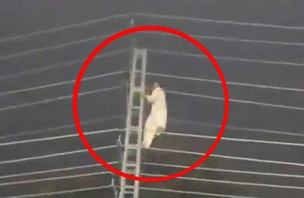 6. Pakistan'da devam eden protestolar esnasında elektrik direğine tırmanan gösterici akıma kapılarak hayatını kaybetti.