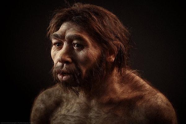 Homo erectus evrimsel süreçte hem kürkünü ilk kez kaybetmeye başlamış, hem de deri pigmentlerini geliştirmiş bir ilkel insan türü.