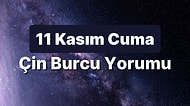 11 Kasım Cuma Çin Burcuna Göre Günün Nasıl Geçecek?